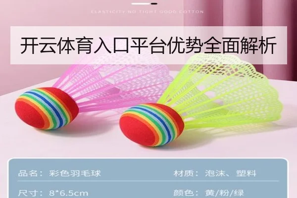 开云体育入口平台优势全面解析